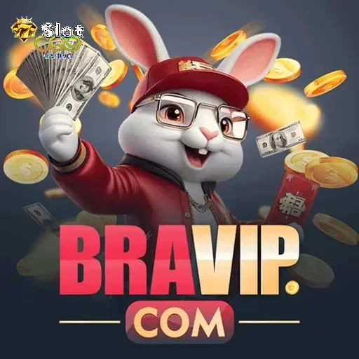 bravip Logo